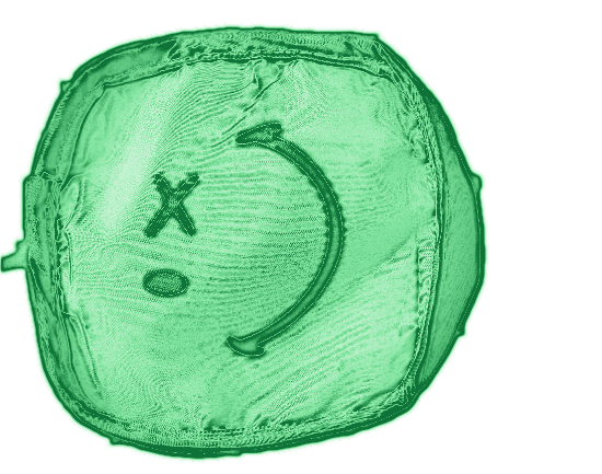 Small pouch, x-ray